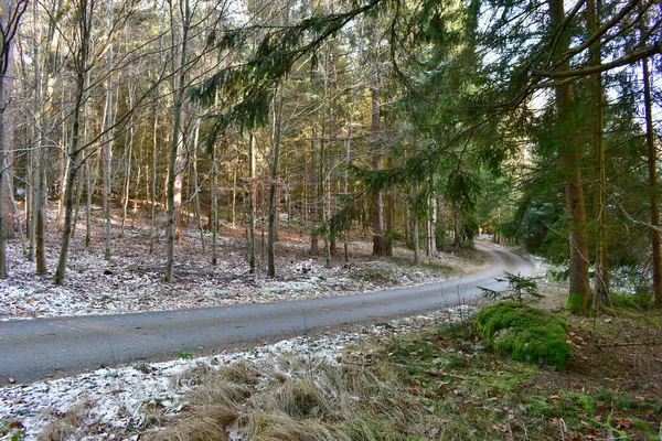 Vista Estrada Florestal Sul Boémia República Checa — Fotografia de Stock