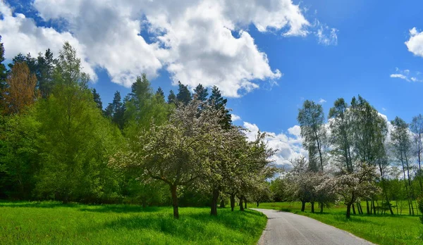 Wiosenny Krajobraz Południowe Czechy Republika Czeska — Zdjęcie stockowe