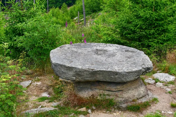 Curiosidad Natural Una Mesa Piedra Bohemia Del Sur República Checa —  Fotos de Stock
