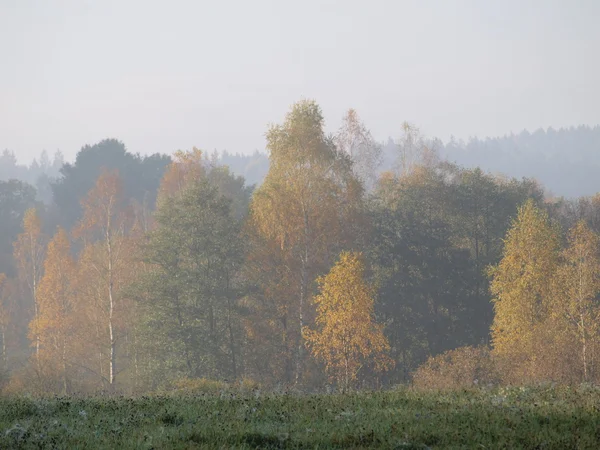 Herbstlandschaft, Südböhmen — Stockfoto