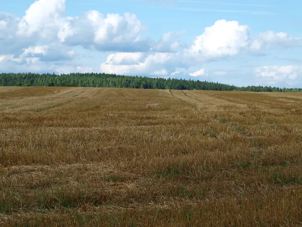 Landschaft Südböhmens — Stockfoto