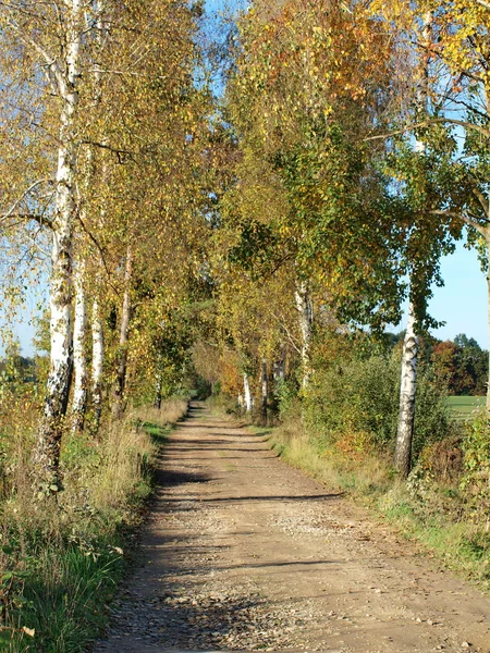 Autumn , southern Bohemia — Stock Photo, Image