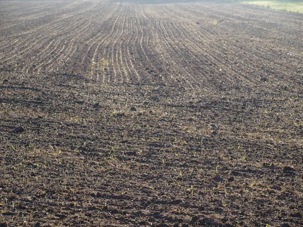 Sown fields , southern Bohemia Royalty Free Stock Images