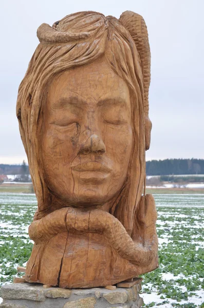 Głowa kobiety z drewna — Zdjęcie stockowe