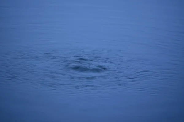 Livello dell'acqua dello stagno — Foto Stock