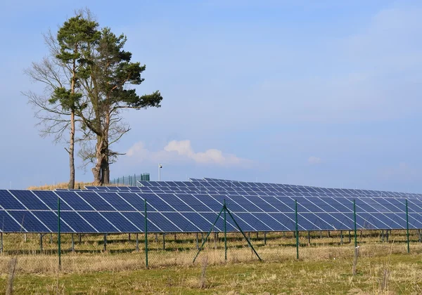 Producción de electricidad mediante paneles fotovoltaicos — Foto de Stock