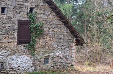 ormanda, Güney Bohemya eski taş ev