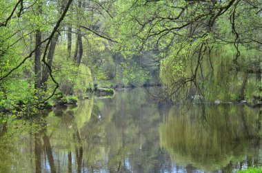sakince akan nehir Nezarka, South Bohemia