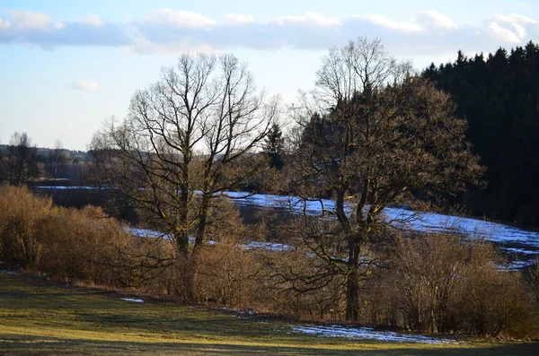 Abendlicher Blick auf die Landschaft in Südböhmen — Stockfoto