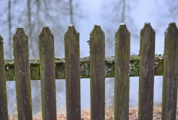 Alter Zaun, mit Moos bedeckt — Stockfoto