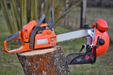 ekipman oduncu, Güney Bohemya