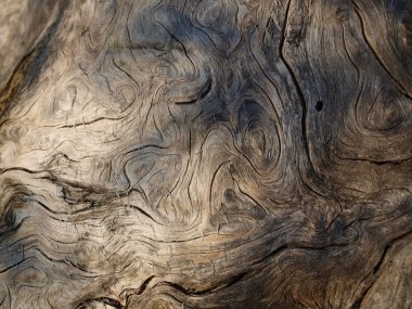 Eski ahşabın dokusu