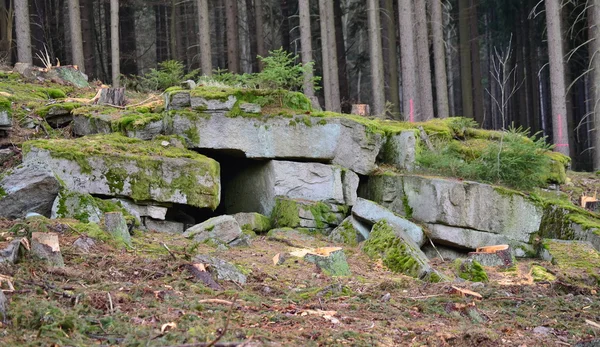 Blocchi di pietra nella foresta — Foto Stock