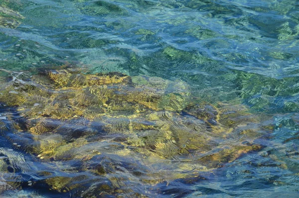 Nivel del mar transparente, Riviera de Liguria — Foto de Stock