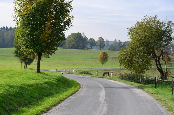 Zobacz jesień krajobraz, southern Bohemia — Zdjęcie stockowe