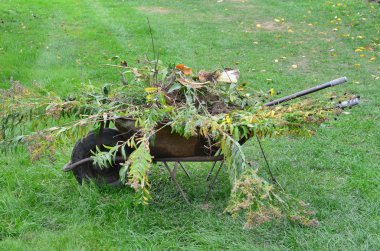 Sonbahar çalışmayı, southern Bohemia görüntüleme