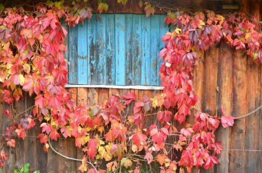 renkler sonbahar yaprak evin, Güney Bohem duvardaki