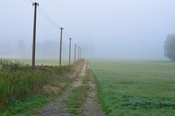 Höstens dimmiga väg på landsbygden i södra Böhmen — Stockfoto