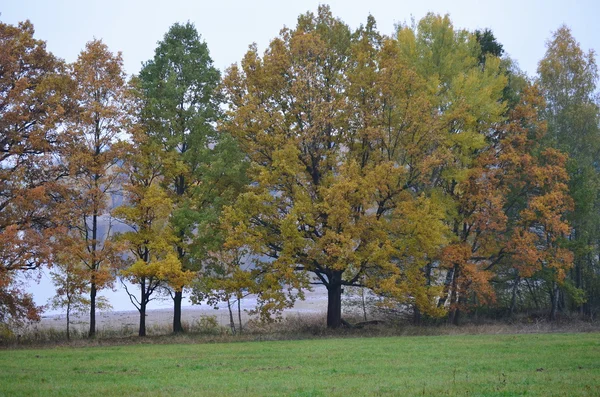 Zobacz jesień krajobraz, southern Bohemia, Republika Czeska — Zdjęcie stockowe