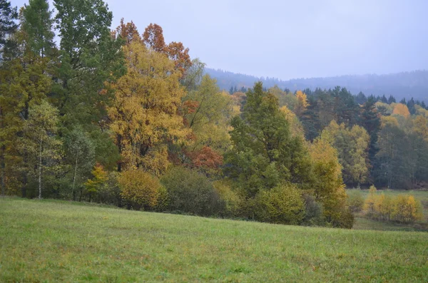 Zobacz jesień krajobraz, southern Bohemia, Republika Czeska — Zdjęcie stockowe