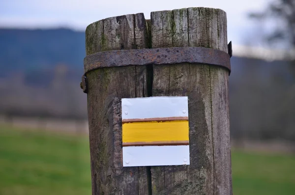 Tourist signposting on the bark of a tree — Stock Photo, Image