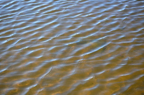 池の水のレベル — ストック写真