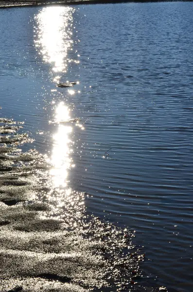 Reflexão do sol na superfície de uma lagoa — Fotografia de Stock