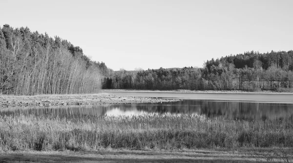 남쪽 보 헤 미아의 시골에 있는 연못 — 스톡 사진