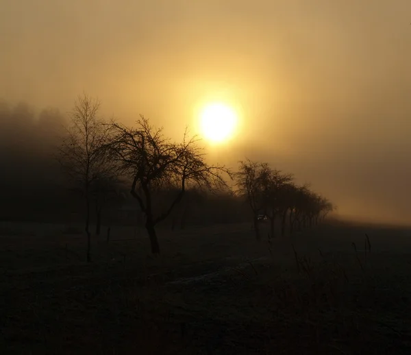 Mystiska sunrise, södra Böhmen — Stockfoto