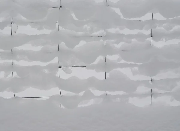 Śnieg na siatki z drutu, Południowe — Zdjęcie stockowe