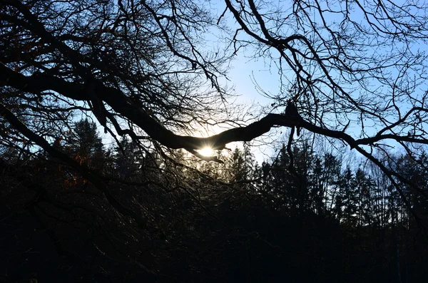 雾蒙蒙的冬日日落, 南波希米亚 — 图库照片