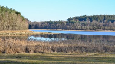 gölet kırsal Güney Bohemya