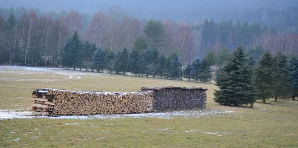 Tradiční úložiště dřeva, Jižní Čechy — Stock fotografie