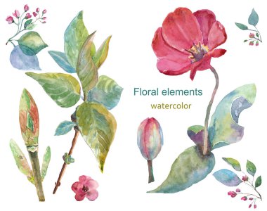 Çiçekli suluboya bahar yapraklı elementler