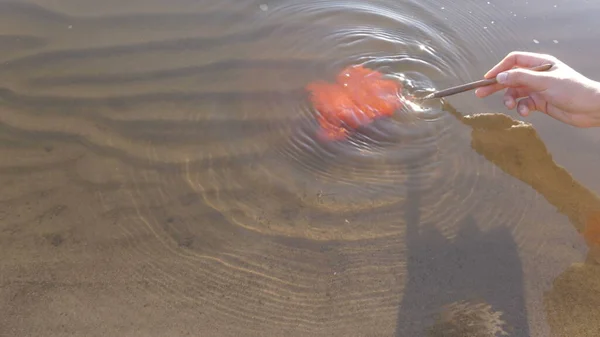 The girl lowers a brush with red paint into the river. The water turns red. Hand with rupture plan. — Stock Photo, Image