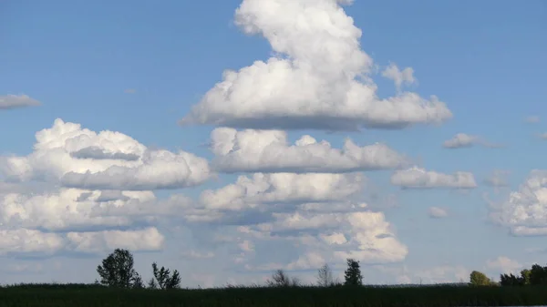 Er zijn veel witte en cirruswolken in de lucht. Zicht op de horizon van onderen. — Stockfoto