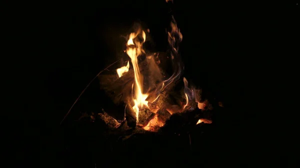 A bonfire burns in the middle of the night. Close-up fire. — Stock Photo, Image