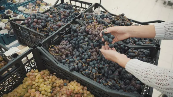 La jeune femme choisit des raisins bleus au marché. Filles mains gros plan. — Photo