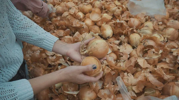 Young woman chooses onion on the market. Girls hands close-up. — Stock Photo, Image