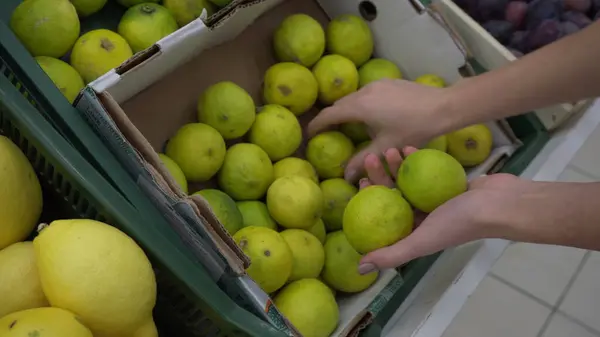 La jeune femme choisit des citrons verts au marché. Filles mains gros plan. — Photo