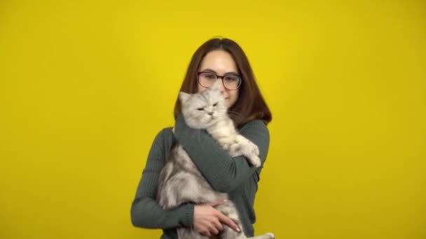 Une jeune femme avec un chat dans les bras danse sur un fond jaune. Femme avec des lunettes et un pull vert. — Video