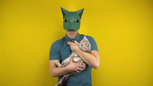 Молодой человек в картонной маске шакала держит кота в руках на жёлтом фоне. Человек в зелёном поло и маске. — стоковое видео