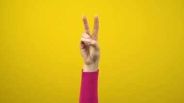 Kadın eli barışın ya da zaferin işaretini gösterir. İzole edilmiş sarı arkaplanda stüdyo fotoğrafçılığı.
