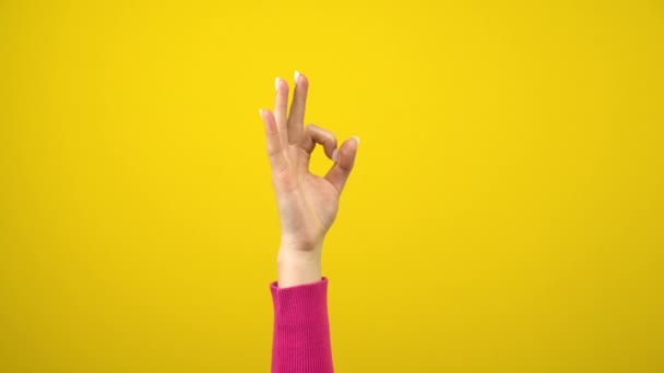 Die weibliche Hand zeigt das Zeichen ok. Studioaufnahmen auf isoliertem gelben Hintergrund. — Stockvideo