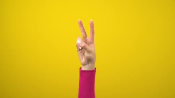 La mano femenina muestra el signo de paz o victoria. Fotografía de estudio sobre un fondo amarillo aislado. — Vídeo de stock