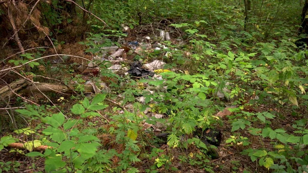 Tiraron basura al bosque. La gente hizo un basurero en el bosque. Contaminación ambiental — Foto de Stock