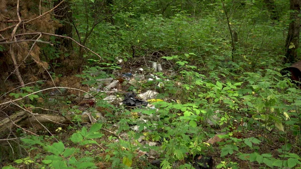 Tiraron basura al bosque. La gente hizo un basurero en el bosque. Contaminación ambiental —  Fotos de Stock