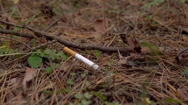 Una sigaretta che fuma in una foresta. Un uomo ha lanciato una sigaretta in fiamme nella foresta. Pericolo di un possibile incendio boschivo — Foto Stock