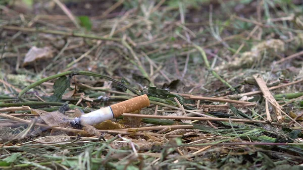 El cigarrillo tirado prendió fuego a la hierba. Un hombre tiró un cigarrillo en la hierba seca. Peligro de incendio —  Fotos de Stock