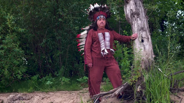 Yaşlı Amerikan yerlileri kuru bir ağacın yanında duruyor. Ormanın arka planı.